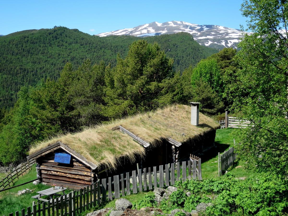 Villa Strind Gard, Visdalssetra Boverdalen Exterior foto